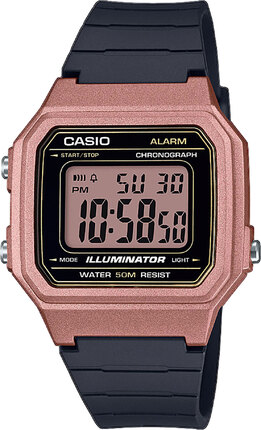 Часы Casio TIMELESS COLLECTION W-217HM-5AVEF