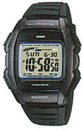 Часы CASIO WL-500-1AVEF