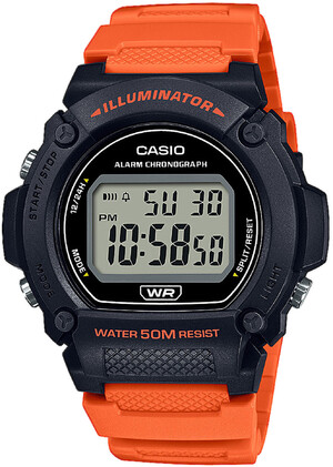 Часы Casio TIMELESS COLLECTION W-219H-4AVEF