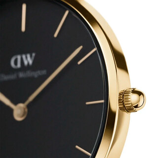 Часы Daniel Wellington Petite Evergold DW00100347