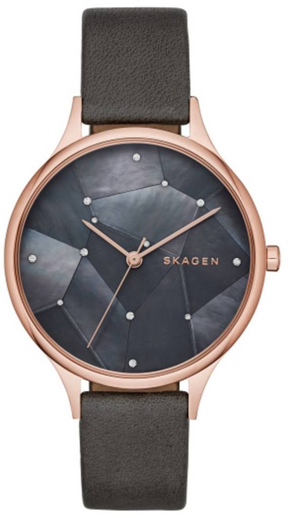 

Часы SKAGEN SKW2390, SKW2390
