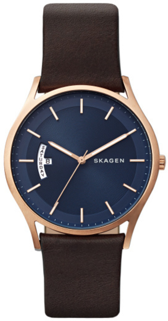 

Часы SKAGEN SKW6395, SKW6395